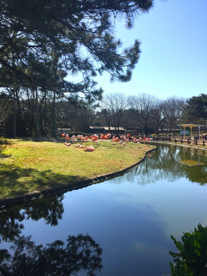 công viên Uminonakamichi Seaside